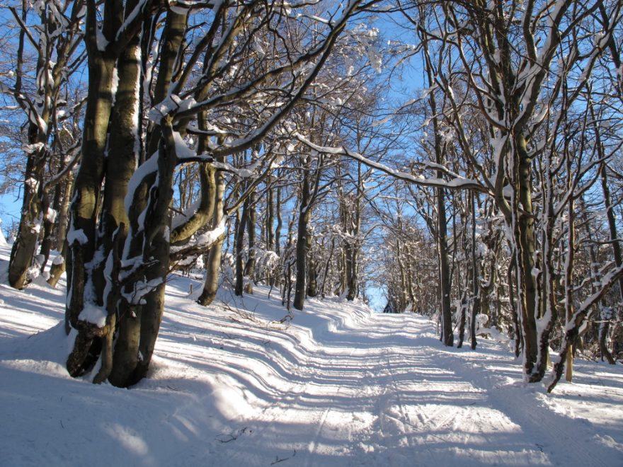 Beskydy na běžkách