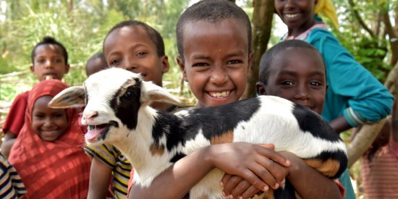 Koza jako dárek: Projekt organizace Člověk v tísni Skutečný dárek rozdává domácí zvířata, zdravotní služby nebo školní potřeby