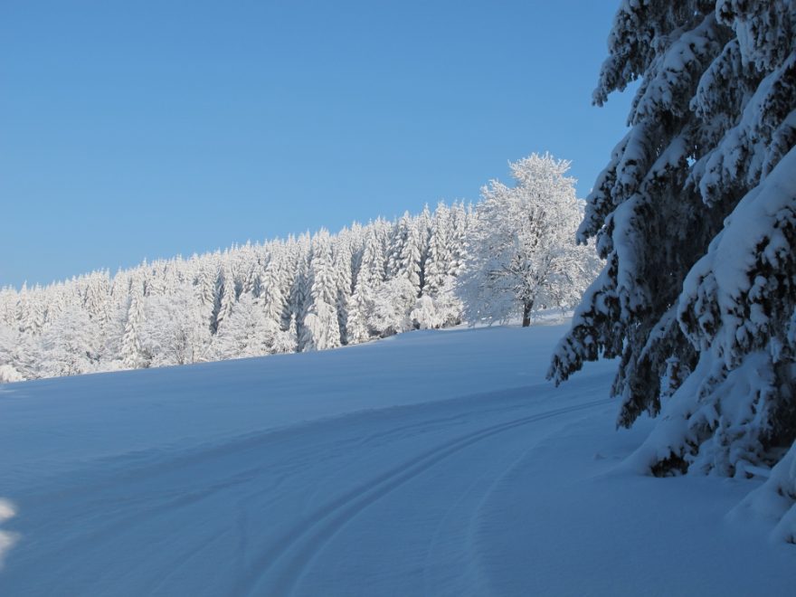 Jeseníky v okolí Paprsku