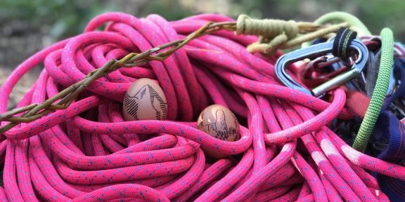 Růžovka: nejlepší přítel pískaře Dannyho Menšíka