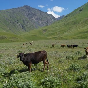 Údolí řeky Tushetis Alazani