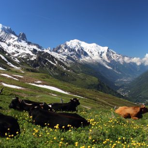 Nejznámějším trekem v Evropě je jednoznačně trasa kolem nejvyšší hory Evropy, Mont Blancu.