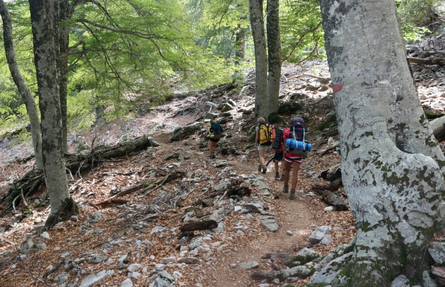 nedaleko pasa Vergio se trasa na chvíli schová v příjemném dubovém háji