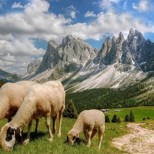 Údolí Val di Funes se zubatým hřebenem Odle (Geisler) je ikonickým pohledem Dolomit.