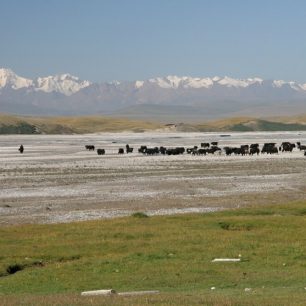 Sedmidenní okruh na samém pomezí kazašsko-kyrgyzsko-čínské hranice k začátku majestátního údolí řeky Sarydžaz.