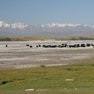 Sedmidenní okruh na samém pomezí kazašsko-kyrgyzsko-čínské hranice k začátku majestátního údolí řeky Sarydžaz.