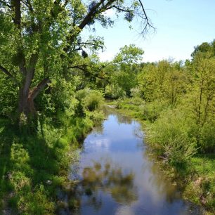 Litovelské Pomoraví