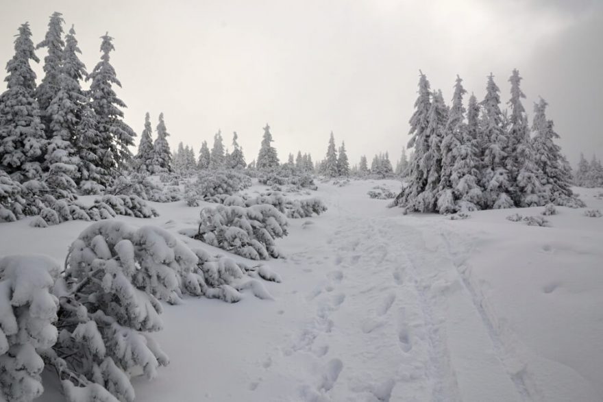 Výstup od Dvoraček na Kotel.