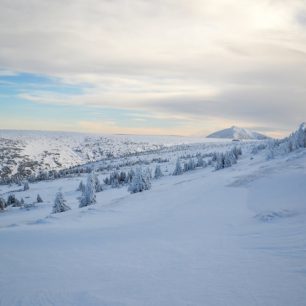 Výhled na Sněžku od Kozích hřbetů, Krkonoše