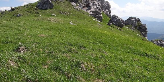 Výstup na Suchý vrch na sněžnicích