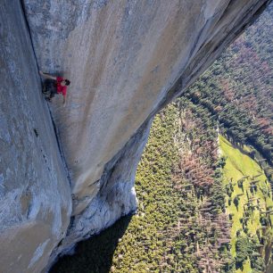 Alex Honnold ve filmu Free Solo.