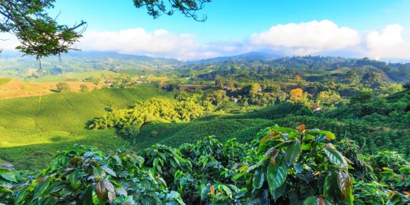 Treky v Kolumbii: objevte nevšední krásu kolumbijských hor