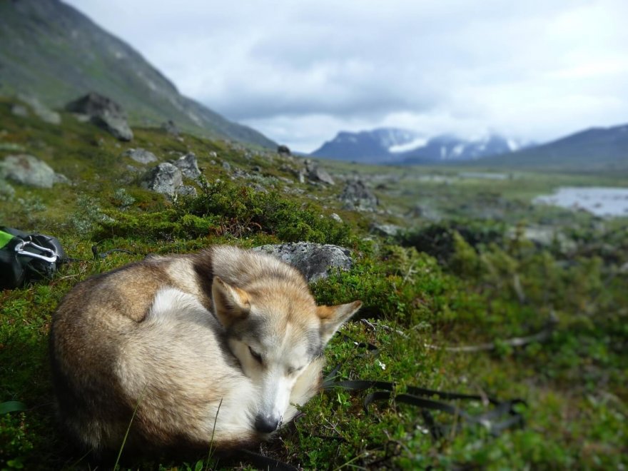 trek, NP Sarek, Laponsko, Švédsko