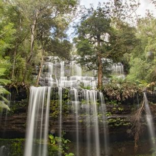 Husté lesy v NP Wilsons Promontory jsou ideální pro turistiku, Austrálie