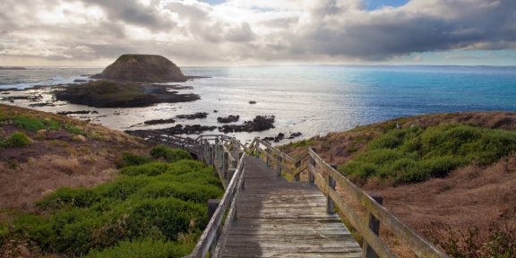 Deštný les, pláže a pozorování zvířat v NP Wilsons Promontory v Austrálii