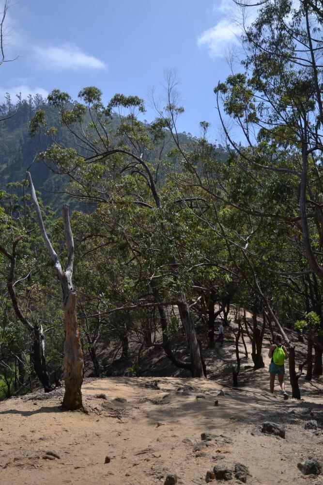 Strmé stoupání na Ella Rock, Srí Lanka