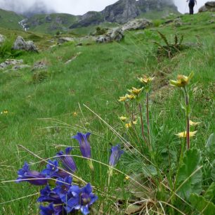 Nad salašemi v dolině Kožnjar, Djeravica, Gjeravica, Prokletije, Kosovo, Balkán