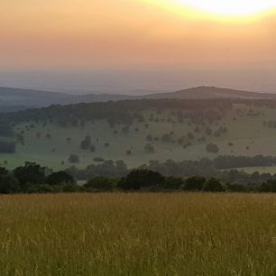 Čartoryje, Bílé Karpaty