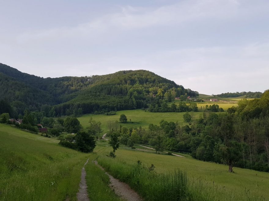 Strážovské vrchy poblíž Škrípova