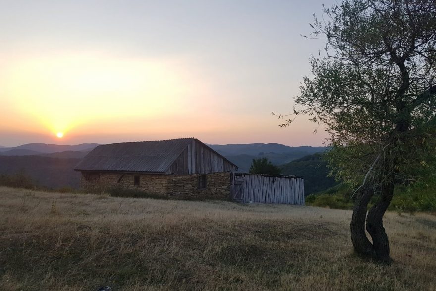 Svítání v sadu asi 10 km od Rovenska, Banát, Rumunsko