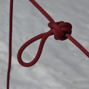 Dvojitý alpský motýlek