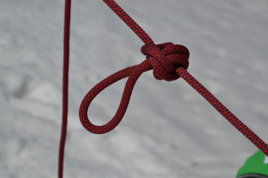 Dvojitý alpský motýlek