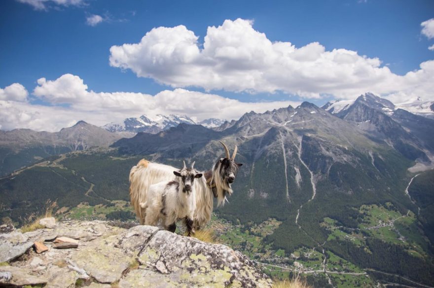Haute route: Tento nádherný přechod přes francouzské a švýcarské Alpy se řadí mezi legendy především mezi skialpinisty. 