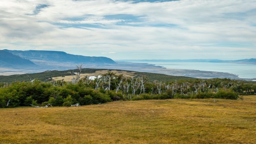 Pastviny střídají izolované lesíky, v dáli Lago Viedma. Huemul Circuit, Patagonie