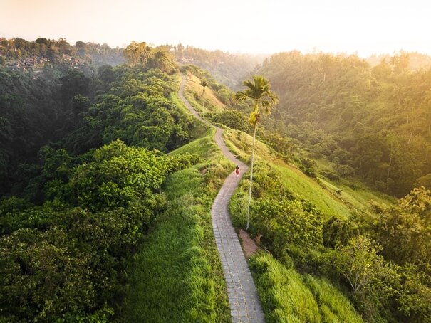 Campuhan Ridge Walk, Bali