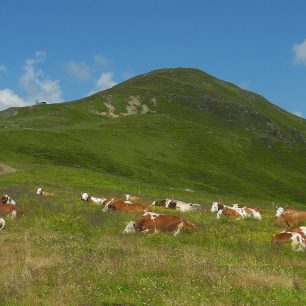 Isskogel, Kitzbühelské Alpy
