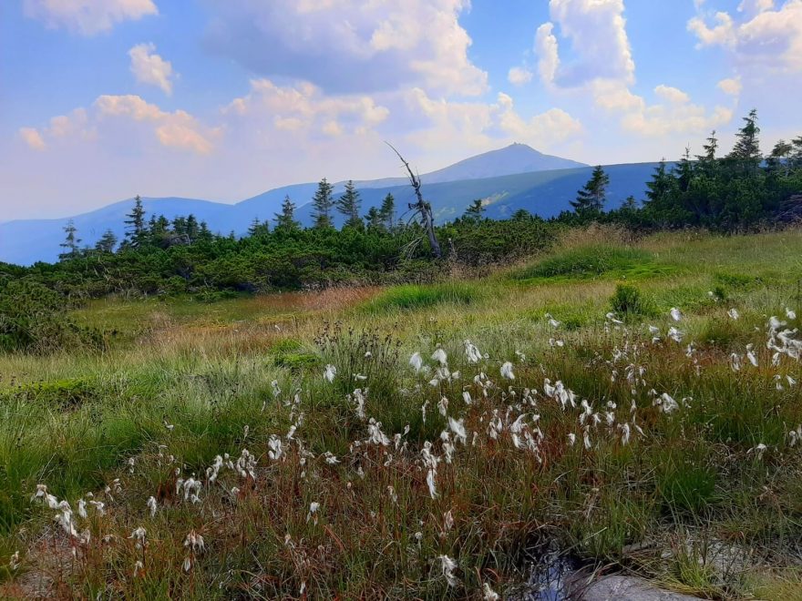 Výhled na Sněžku z hřebene nad ledovcovými jezery, Krkonoše