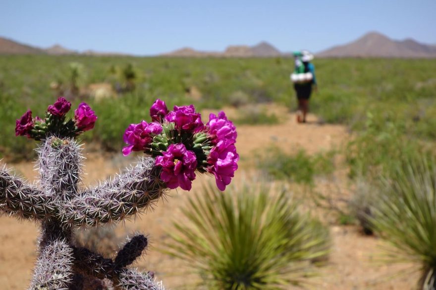 Petr Kosek popovídá o trojici amerických dlouhých trailů: CTD, PCT, AT (Continental Divide Trail, Pacific Crest Trail a Appalachian Trail)