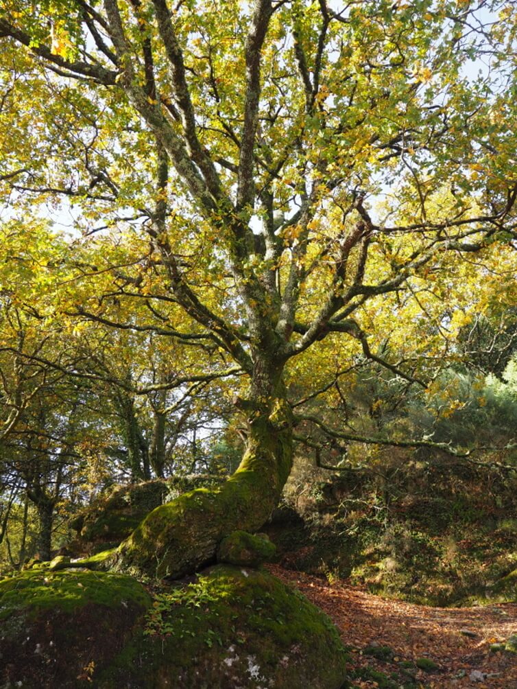 NP Peneda Geres, Portugalsko