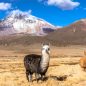 Barevná Bolívie: solná jezera i andské šestitisícovky