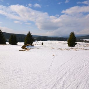 Rozlehlé slunné pláně Velké jizerské louky, Jakuzsyce, polské Jizerky