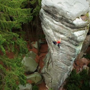 Arachnofobie Xb, Ostaš