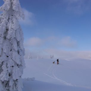 Výstup na vrchol Grasberg na skialpech