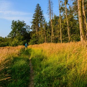 Via Czechia: Jižní stezka
