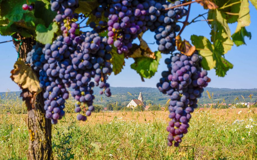 Via Czechia: Jižní stezka