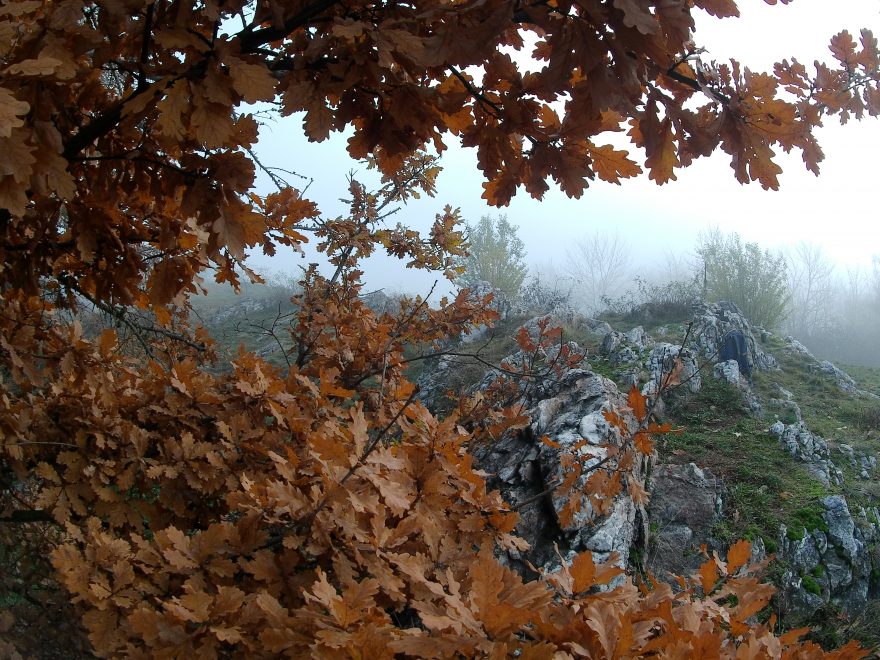 Ukázka fotky s podzimní tématikou a barvami