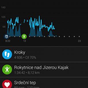 Jeden den v aplikaci GARMIN Connect
