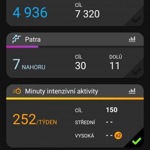 Základní obrazovka aplikace GARMIN Connect