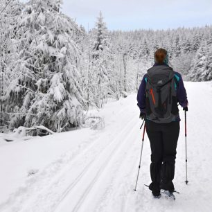 Orlické hory v zimě