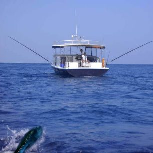 Co se týče chytání ryb, tak na Maledivách platí pravidlo, že rybolov lze praktikovat až ve vzdálenosti 320 kilometrů od hranice atolů, a je možné k němu používat pouze klasické pruty a udice.
