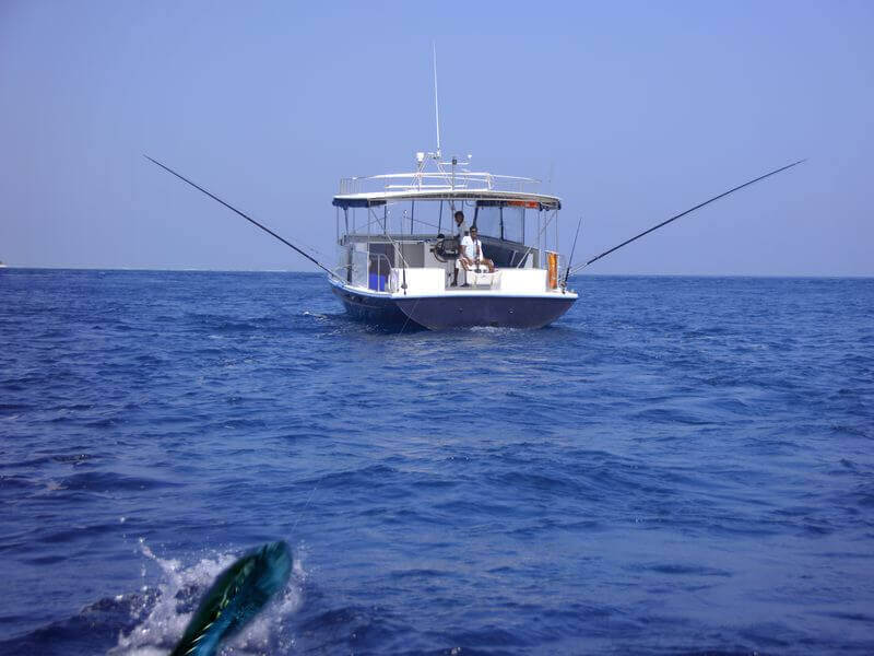 Co se týče chytání ryb, tak na Maledivách platí pravidlo, že rybolov lze praktikovat až ve vzdálenosti 320 kilometrů od hranice atolů, a je možné k němu používat pouze klasické pruty a udice.