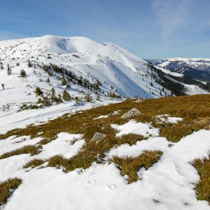 Pohled na masiv Veľká Chochuľa, vpravo v dálce je vidět hřeben Velké Fatry s nejvyššími vrcholy Ostredok a Krížna