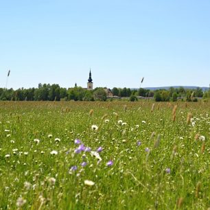 Trasa přes Litovelské Pomoraví nadchne na jaře i všechny botaniky a potěší romantické duše.