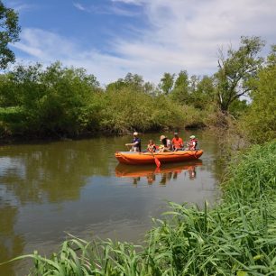 Cyklotrasa kopíruje tok řeky Moravy a jejích ramen. Litovelské Pomoraví na kole