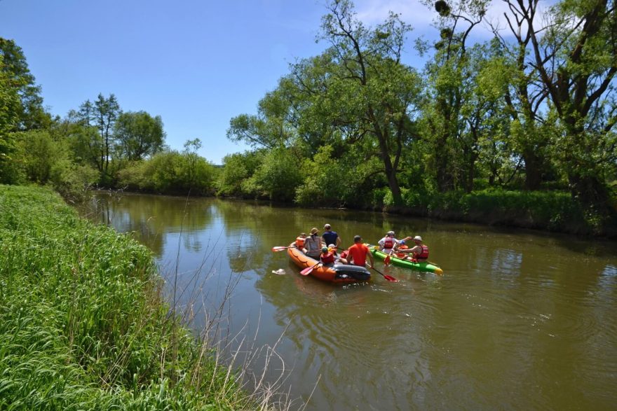 Cyklotrasa kopíruje tok řeky Moravy a jejích ramen. Litovelské Pomoraví na kole