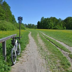 Přes louky od jezera Poděbrady je to do Olomouce už jen pár kilometrů. Litovelské Pomoraví na kole.